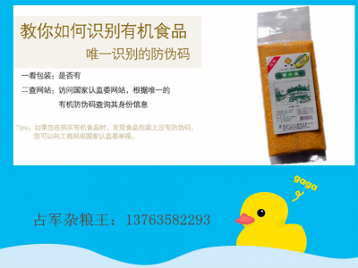 黄小米-齐齐哈尔屯哥米业有限公司图3