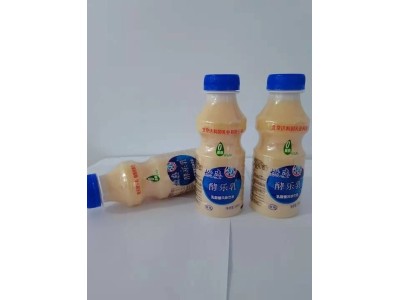 燃姿酵乐乳乳酸菌饮品-初元（北京）乳业科技有限公司图2