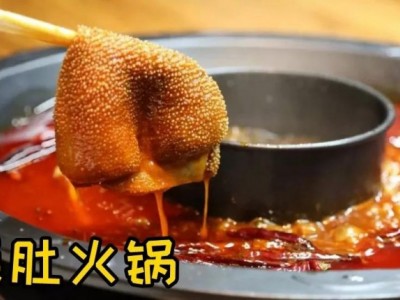 重庆火锅麻辣火锅底料蘸料-湖南佳元禄食品有限公司图2