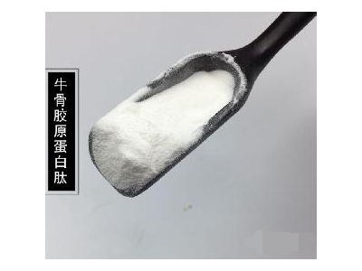 骨胶原蛋白-山东丰泰生物科技有限公司图2