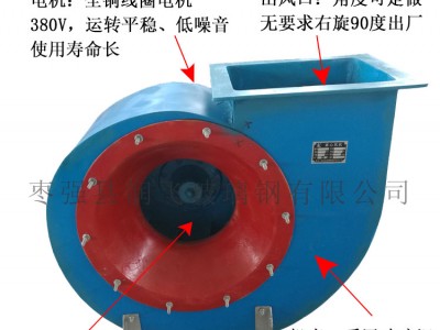 防腐防爆玻璃钢风机-枣强县润飞玻璃钢有限公司图2