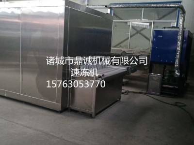 玉米速冻设备厂家 花椰菜速冻机-诸城市鼎诚机械有限公司图3