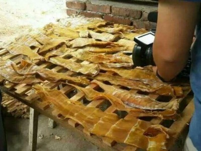 智能除湿一体春笋烘干机-珠海市智烘节能工程有限公司图3