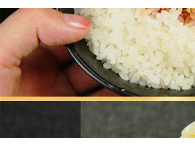 奥尔良烤翅腌料、烧烤调料-乐陵市鲁川辣椒调味品有限公司图2