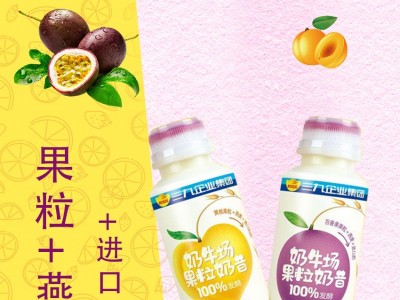 果粒奶昔-财发发实业（深圳）有限公司图2