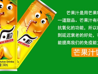 果汁饮料-广东楚珍控股有限公司图2