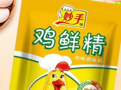 复合调味品-晋江市安海乐当家食品有限公司图2