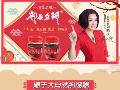 天台氏郫县豆瓣-四川天台食品有限公司图2