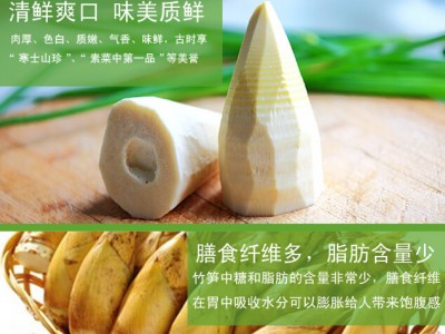 佰润莱玉兰笋尖-深圳市福喜家贸易有限公司图3