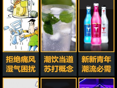 苏打酒-广东中饮食品有限公司图2