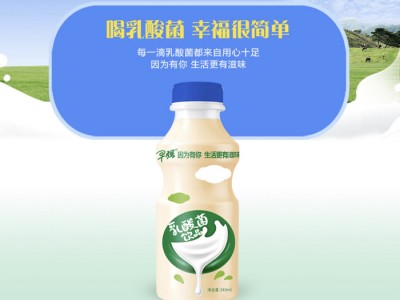乳酸菌-沂水全福食品有限公司图2