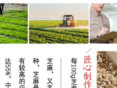 小磨芝麻香油-沧州君食安食用油有限公司图3