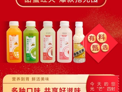 果汁饮料-安庆市佳美饮料有限公司图3