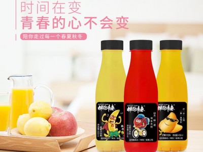 发酵果汁-达利园食品（珠海）有限公司图2