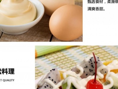 赢霸沙拉酱-成都赢霸食品科技有限公司图3