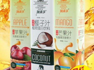 果汁饮料-浙江鸿源食品有限公司图3