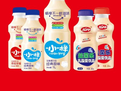 果汁饮料-沧州养元食品有限公司图3