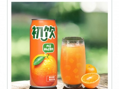 初饮复合果汁饮料-山东初饮生物科技有限公司图2