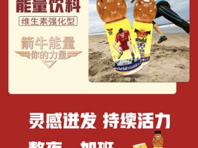 箭牛能量饮料-河南箭牛维他命饮料有限公司图2