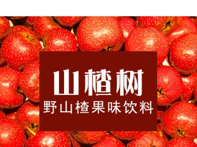 山楂树野山楂果味饮料-梁山好佳佳食品有限公司图2