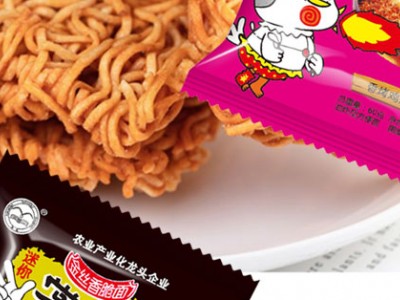 福满门方便面-商丘市翔波食品有限公司图3