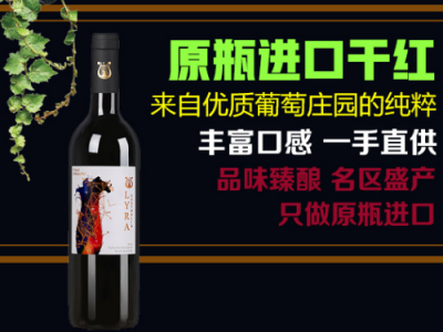 进口干红-深圳前海优意佳国际贸易有限公司图3