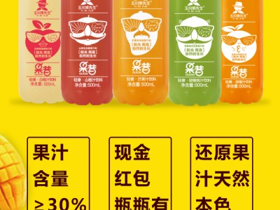 果昔山楂汁饮料-济源市玉川饮品有限公司图2