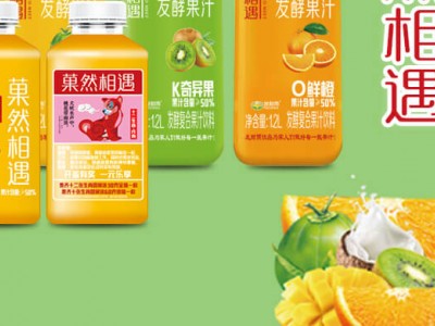 菓然相遇发酵果汁-新乡市发财雨饮品有限公司图2