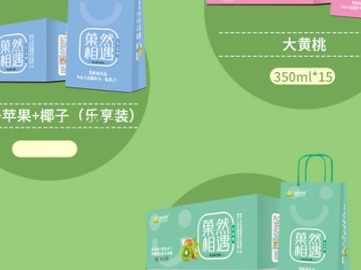 菓然相遇发酵果汁-新乡市发财雨饮品有限公司图3