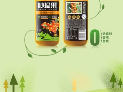 妙珍果饮料-河南康元沙棘生物科技有限公司图3