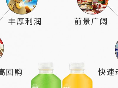 维他星复合果汁-佛山市国赢饮料有限公司图2