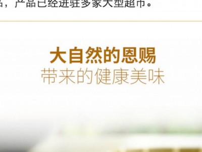 豆皮-许昌市建安区延周豆制品有限公司图2