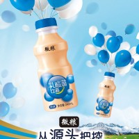 微粮乳酸菌饮品-临沂市微粮食品有限公司