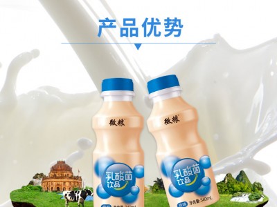 微粮乳酸菌饮品-临沂市微粮食品有限公司图2