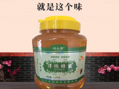青蜂港蜂蜜膏-九江蜂尚食品有限公司图3