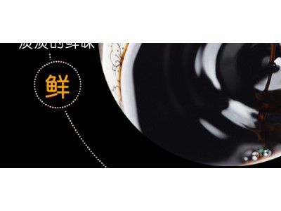 阆州醋-四川省阆州醋业有限公司图3
