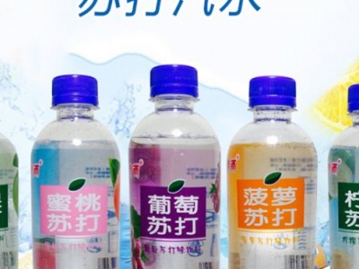 德雨碳酸果汁苏打汽水-巩义市天雨饮品有限公司图3