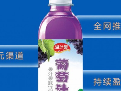 溢汁园果汁-邯郸市万康食品有限公司图3