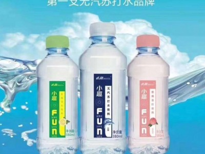 小趣+锌苏打水-河南小趣领航食品有限公司图2