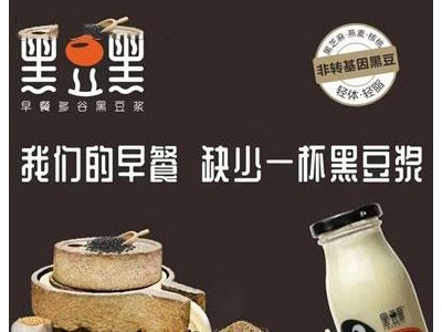 系列黑豆奶-黑豆黑食品有限公司图2