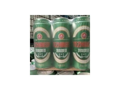 啤酒-山东青岛加啤酒饮料有限公司图3