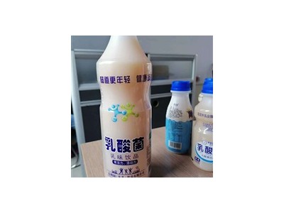 鹿角巷乳酸菌、达利园乳酸菌-山东锐青饮品有限公司图3