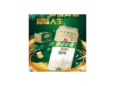 力波啤酒-双渡酒业上海有限公司图3