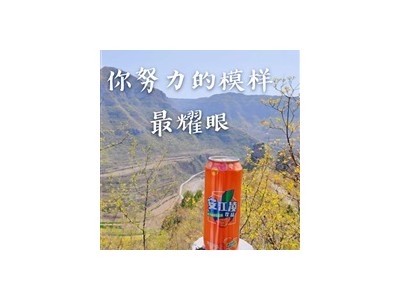 汽水-河南省安江凌饮品有限公司图3