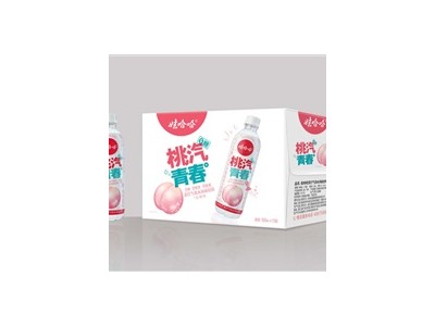 哇哈哈苏打气泡水-天津宗盛品牌管理有限公司图2