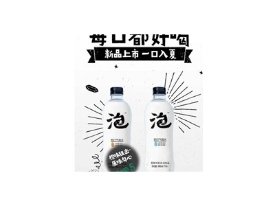 苏打气泡水-美国可乐饮料有限公司图3
