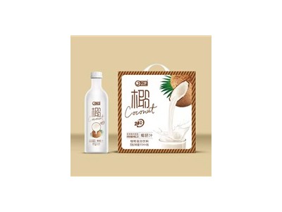 果汁-南京贝奇饮品有限公司图2
