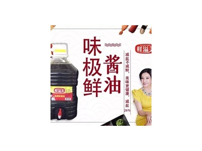 味极鲜酱油-荷泽市鲜溢美食品有限公司图3