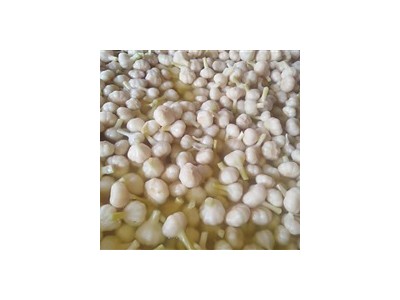 小米辣、酸豆角、酱菜半成品-涡阳陈华酱菜厂图3