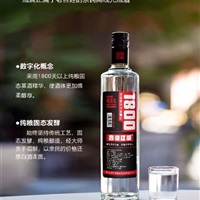 纯粮酿造酒-古道江湖光瓶酒全国运营中心